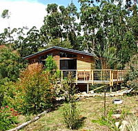 Southern Forest Accommodation - Accommodation Bookings