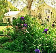 Panshanger - Accommodation Bookings