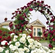 Golden Embers Apartments and B and B - Accommodation Bookings