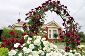 Golden Embers Apartments And B And B - Accommodation Bookings 0