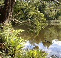 Weldborough Camping Ground - Accommodation Bookings
