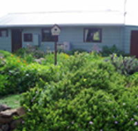 Engadine Cottage - Accommodation Bookings