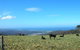 St Marys Seaview Farm - thumb 0