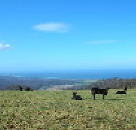St Marys Seaview Farm - Accommodation Bookings