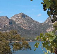 Freycinet on the Bay - Accommodation Bookings