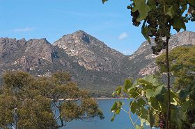 Freycinet On The Bay - Accommodation Bookings 0