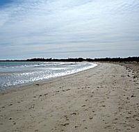 Greens Beach Caravan Park - Accommodation Bookings