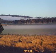 Fonthill - Accommodation Bookings