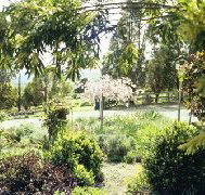 Cherry Park Estate - Accommodation Bookings