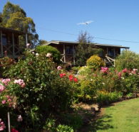 Mole Creek Holiday Village - Accommodation Bookings