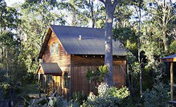 Cradle Mountain Highlanders - Accommodation Bookings 1