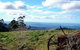 St Marys Seaview Farm - thumb 3