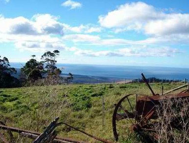 St Marys Seaview Farm - Accommodation Bookings 3