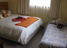 Red Rooster Host Farm - Accommodation Bookings 1