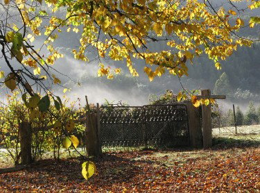 Red Rooster Host Farm - Accommodation Bookings 2
