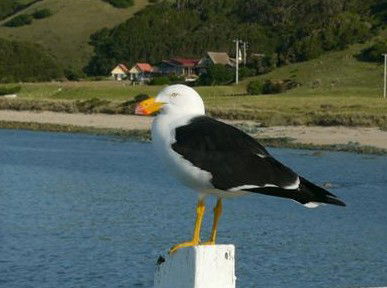 Rocky Glen Retreat By The Beach - Accommodation Bookings 1