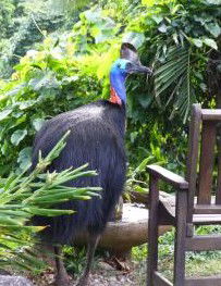 Sanctuary Retreat - Accommodation Bookings 2