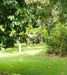 Julatten QLD Accommodation Bookings