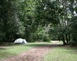 Kingfisher Park Birdwatchers Lodge - Accommodation Bookings 5