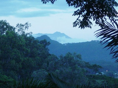 Papillon Bed And Breakfast - Accommodation Bookings 7