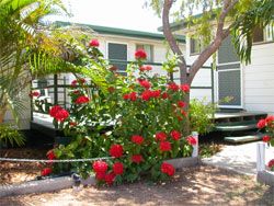 Gee Dees Family Cabins - Accommodation Bookings 2