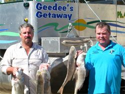 Gee Dees Family Cabins - Accommodation Bookings 4
