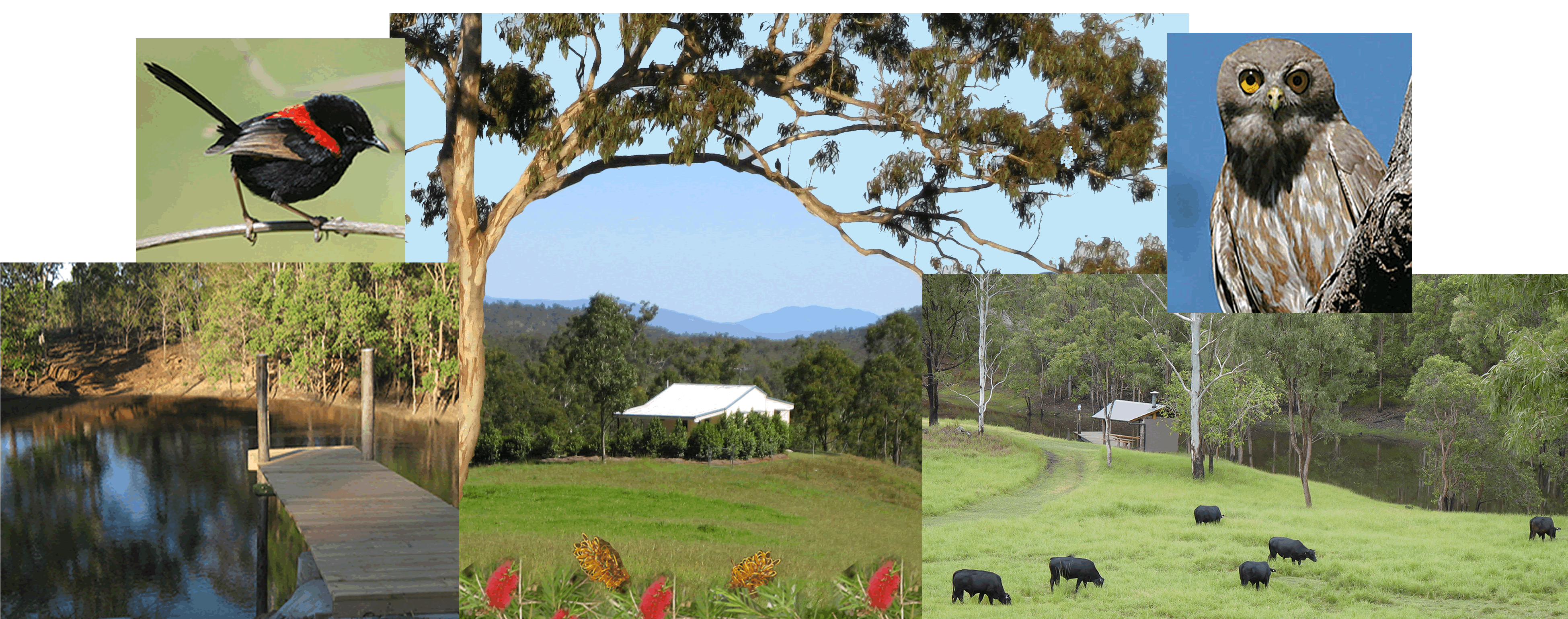 Barking Owl Retreat - Accommodation Bookings