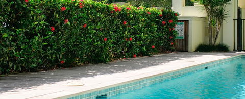 Cairns Beachfront Apartment - Accommodation Bookings 5