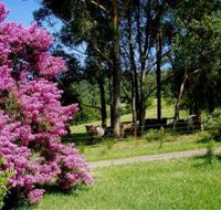 Figlea Cottages - Accommodation Bookings