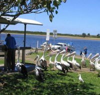 Mountain View Caravan and Mobile Home Village - Accommodation Bookings