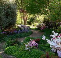 Wombat Hill Bed and Breakfast - Accommodation Bookings