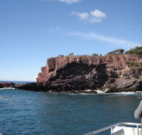 Art on Hart - Accommodation Bookings