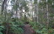 Maleny Country Cottages - thumb 1