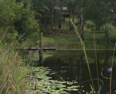 Maleny Country Cottages - Accommodation Bookings 4