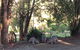 Maleny Country Cottages - thumb 5