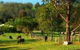 Giba Gunyah Country Cottages - thumb 1