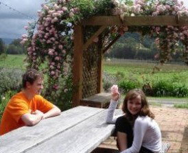 Back Forest Retreat - Accommodation Bookings 1