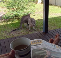 Bush and Bay Cottage - Accommodation Bookings