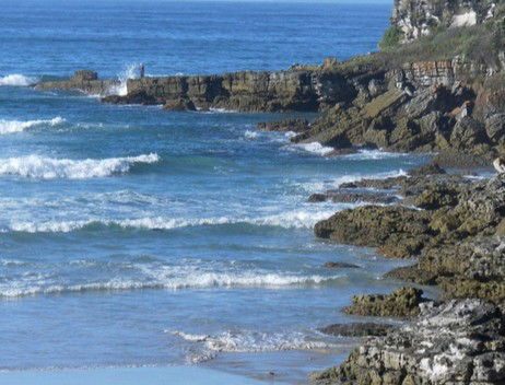 Booderee National Park: Cave Beach Camping Area - Accommodation Bookings 2