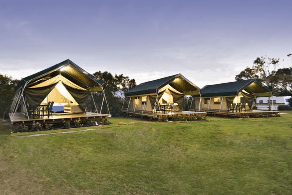 Hastings Point Holiday Park - Accommodation Bookings
