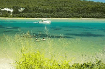 Wooli Camping and Caravan Park - Accommodation Bookings
