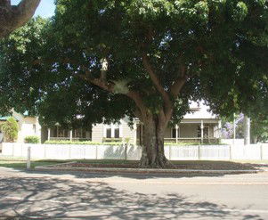 Annies Bed And Breakfast Grafton - Accommodation Bookings 3