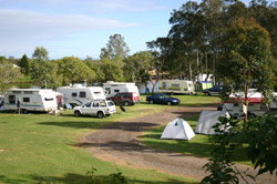 Dawson River Tourist Park - Accommodation Bookings 1