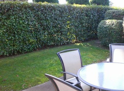 Boronia Lodge Apartments - Accommodation Bookings 3