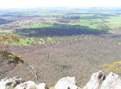 Henty Central Bed And Breakfast - Accommodation Bookings 3