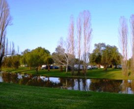 Lockhart Caravan Park - Accommodation Bookings 0