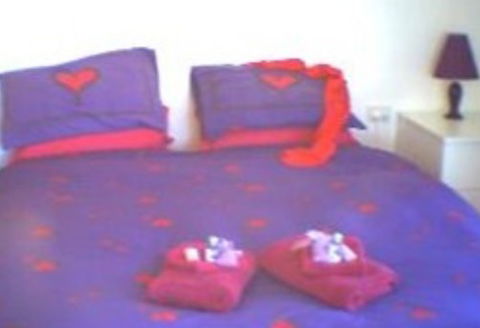 Aloomba Lavender - Accommodation - Accommodation Bookings 0
