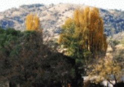 Birches Bed And Breakfast At Nundle - Accommodation Bookings 0