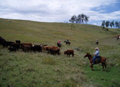 Camp Cobark - Accommodation Bookings 2