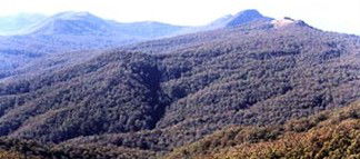 Carrowbrook NSW Accommodation Bookings